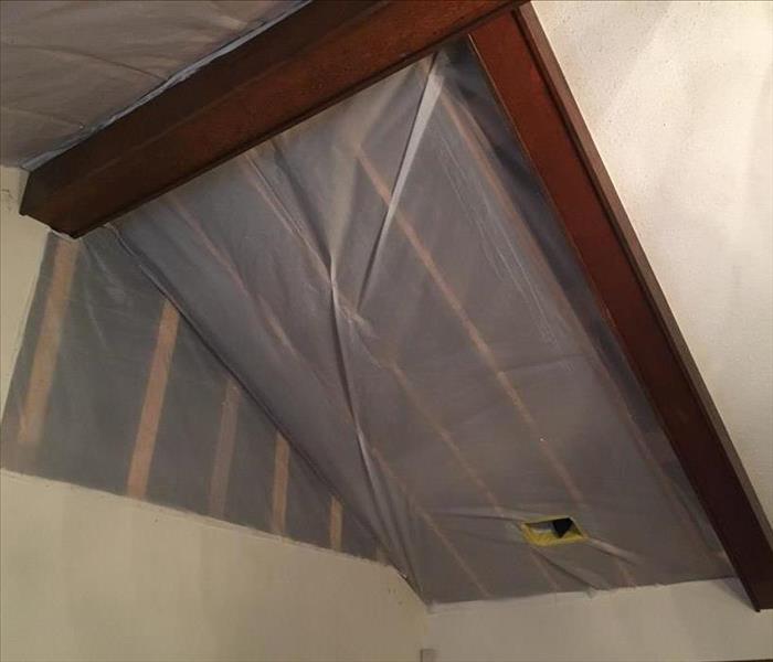 Tenting on ceiling due to mold