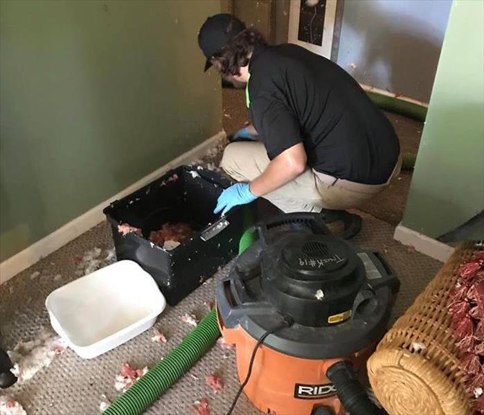 Cleaning up water damage with machine