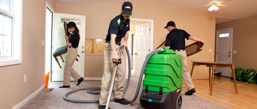 Daphne, AL cleaning services